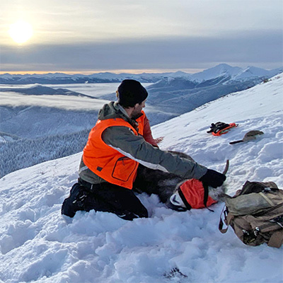 Researcher with ewe in British Columbia